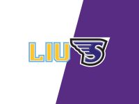 LIU Sharks and Stonehill Skyhawks: A Bridgewater Battle on Ice