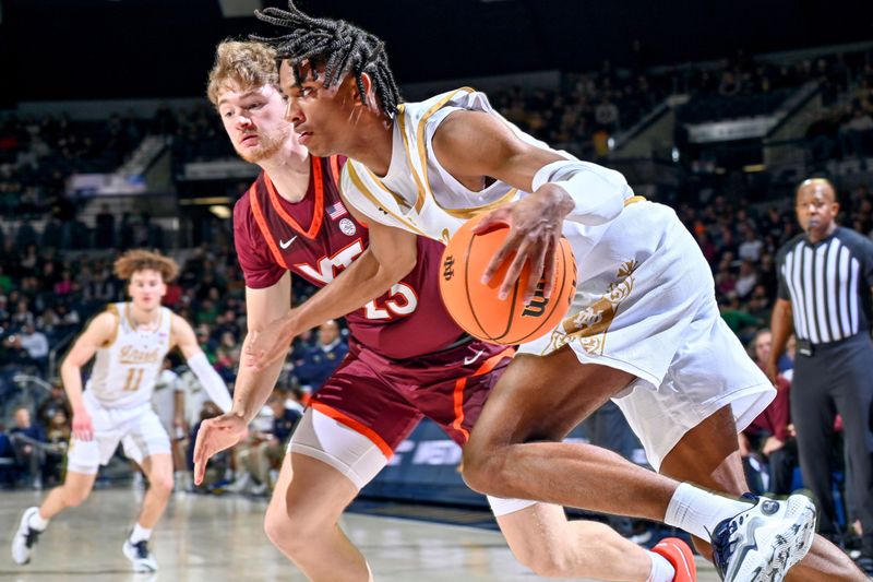 Feb 10, 2024; South Bend, Indiana, USA; Notre Dame Fighting Irish forward Carey Booth (0) dribbles the ball against Virginia Tech Hokies guard Tyler Nickel (23) in the first half at the Purcell Pavilion. Mandatory Credit: Matt Cashore-USA TODAY Sports