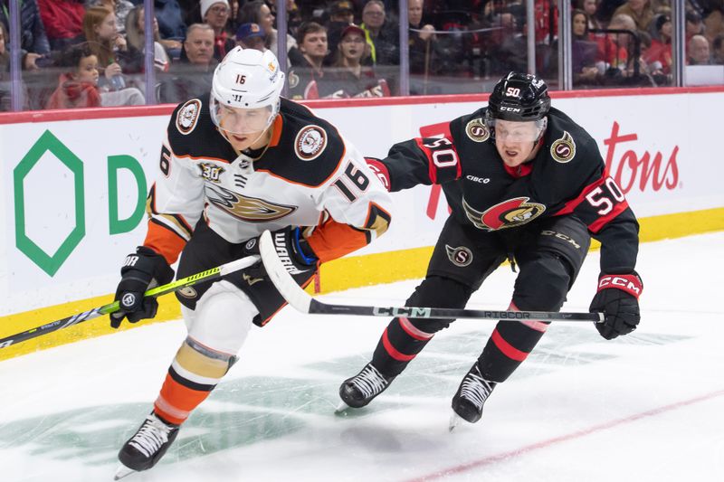 Feb 15, 2024; Ottawa, Ontario, CAN; Anaheim Ducks center Ryan Strome (16) and Ottawa Senators defenseman Maxence Guenette (50) chase the puck in the second period at the Canadian Tire Centre. Mandatory Credit: Marc DesRosiers-USA TODAY Sports