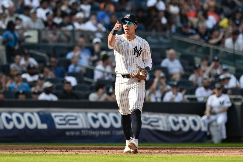 Jun 20, 2024; Bronx, New York, USA; New York Yankees third baseman Oswaldo Cabrera (95) reacts during the fifth inning against the Baltimore Orioles at Yankee Stadium. Mandatory Credit: John Jones-USA TODAY Sports