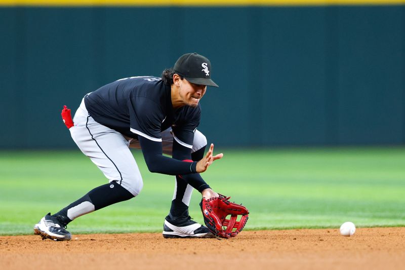 Jul 23, 2024; Arlington, Texas, USA; Chicago White Sox short stop Nicky Lopez (8) make a play on a ground ball during the sixth inning against the Texas Rangers at Globe Life Field. Mandatory Credit: Andrew Dieb-USA TODAY Sports