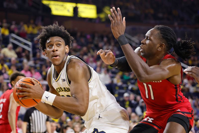 Feb 3, 2024; Ann Arbor, Michigan, USA;  Michigan Wolverines forward Tarris Reed Jr. (32) is defended by Rutgers Scarlet Knights center Clifford Omoruyi (11) in the first half at Crisler Center. Mandatory Credit: Rick Osentoski-USA TODAY Sports