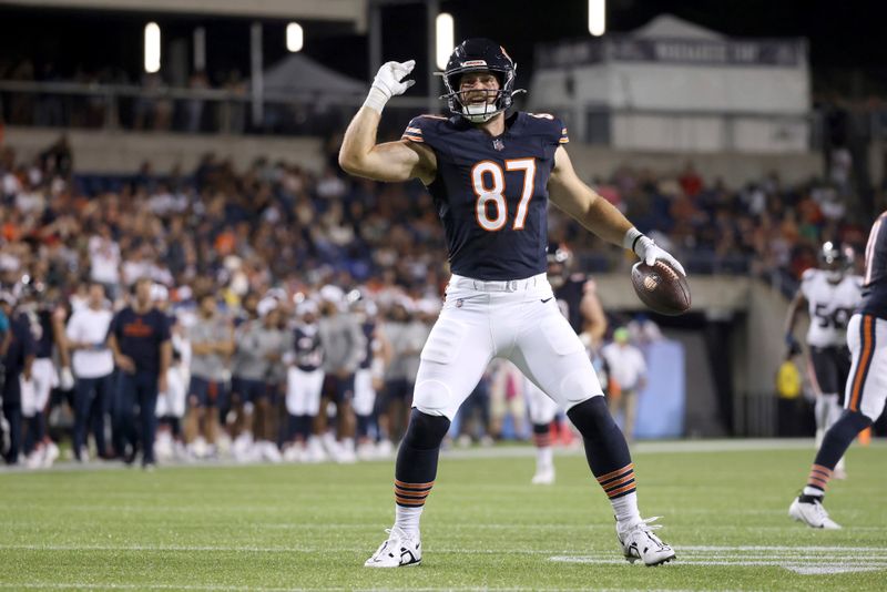 Chicago Bears tight end Brenden Bates (87) reacts after making a first down during an NFL preseason football game against the Houston Texans, Thursday Aug. 21, 2024, in Canton, Ohio. (AP Photo/Kirk Irwin)