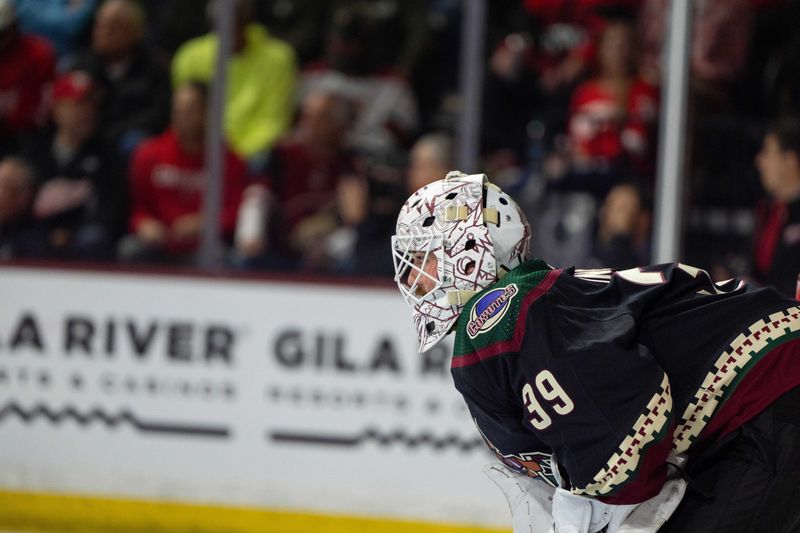 Mar 8, 2024; Tempe, Arizona, USA; Arizona Coyotes goalie Connor Ingram (39) watches on from his net in the first period during a game against the Detroit Red Wings at Mullett Arena. Mandatory Credit: Allan Henry-USA TODAY Sports