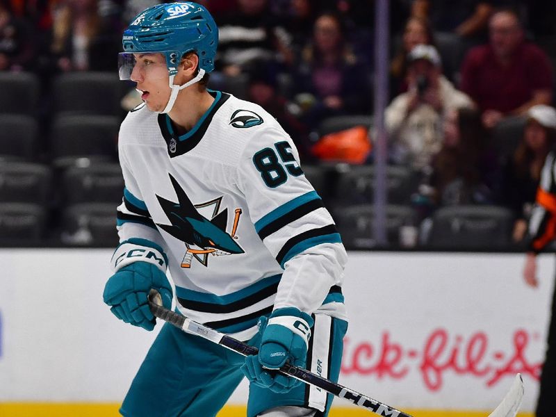 Jan 31, 2024; Anaheim, California, USA; San Jose Sharks defenseman Shakir Mukhamadullin (85) in action against the Anaheim Ducks during the second period at Honda Center. Mandatory Credit: Gary A. Vasquez-USA TODAY Sports