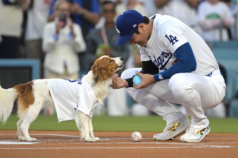 Aug 28, 2024; Los Angeles, California, USA;  Decoy, the dog of Los Angeles Dodgers designated hitter Shohei Ohtani (17) waits for instruction before delivering the first pitch before the game against the Baltimore Orioles at Dodger Stadium. Mandatory Credit: Jayne Kamin-Oncea-USA TODAY Sports