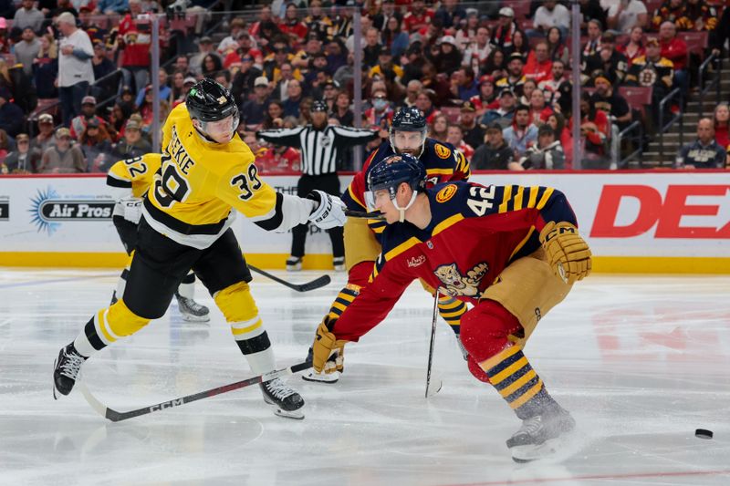 Feb 4, 2026; Sunrise, Florida, USA; Boston Bruins center Morgan Geekie (39) shoots the puck as Florida Panthers defenseman Gustav Forsling (42) defends during the second period at Amerant Bank Arena. Mandatory Credit: Sam Navarro-Imagn Images
