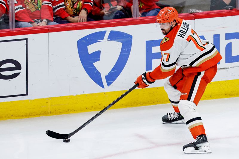 Nov 19, 2024; Chicago, Illinois, USA; Anaheim Ducks left wing Alex Killorn (17) controls the puck against the Chicago Blackhawks during the third period at United Center. Mandatory Credit: Kamil Krzaczynski-Imagn Images