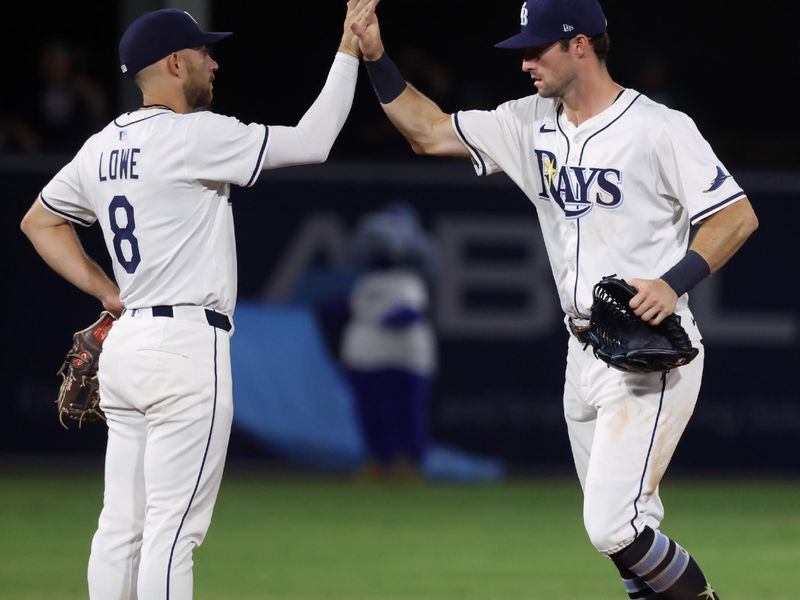 Jun 4, 2025; St. Petersburg, Florida, USA;  Tampa Bay Rays second base Brandon Lowe (8) and outfielder Kameron Misner (26) high five as they beat the Texas Rangers at George M. Steinbrenner Field. Mandatory Credit: Kim Klement Neitzel-Imagn Images