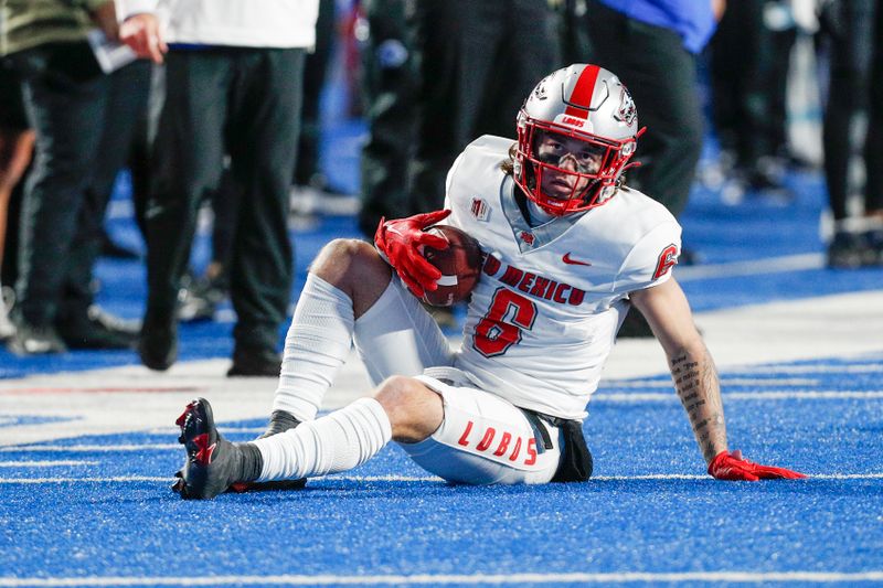 Nov 11, 2023; Boise, Idaho, USA;  New Mexico Lobos wide receiver  Ryan Davis (6) makes a catch during the second half against the Boise State Broncos at Albertsons Stadium. Boise State defeats New Mexico 42-14. Mandatory Credit: Brian Losness-USA TODAY Sports

