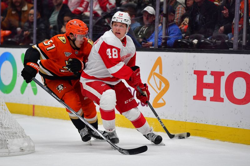 Nov 15, 2024; Anaheim, California, USA; Detroit Red Wings right wing Jonatan Berggren (48) moves the puck against Anaheim Ducks defenseman Olen Zellweger (51) during the third period at Honda Center. Mandatory Credit: Gary A. Vasquez-Imagn Images