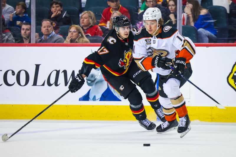 Apr 2, 2024; Calgary, Alberta, CAN; Calgary Flames center Yegor Sharangovich (17) and Anaheim Ducks center Trevor Zegras (11) battles for the puck during the third period at Scotiabank Saddledome. Mandatory Credit: Sergei Belski-USA TODAY Sports