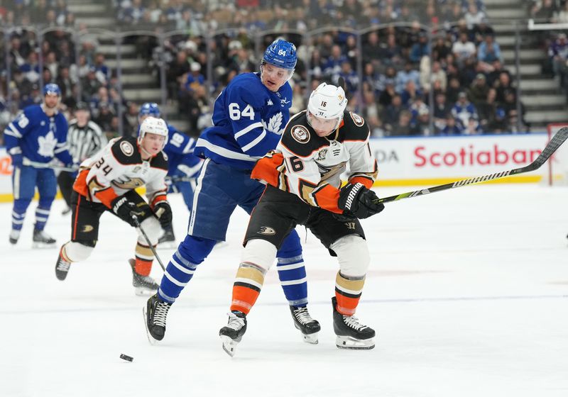 Feb 17, 2024; Toronto, Ontario, CAN; Toronto Maple Leafs center David Kampf (64) battles for the puck with Anaheim Ducks center Ryan Strome (16) during the first period at Scotiabank Arena. Mandatory Credit: Nick Turchiaro-USA TODAY Sports