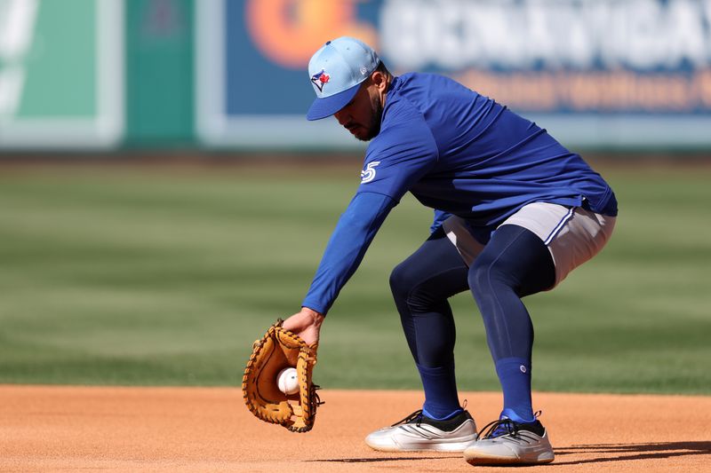 May 7, 2025; Anaheim, California, USA;  Toronto Blue Jays designated hitter Anthony Santander (25) takes a ground ball before the game against the Los Angeles Angels at Angel Stadium. Mandatory Credit: Kiyoshi Mio-Imagn Images