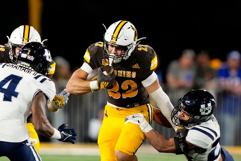 Oct 26, 2024; Laramie, Wyoming, USA; Wyoming Cowboys running back Sam Scott (22) runs against the Utah State Aggies during the fourth quarter at Jonah Field at War Memorial Stadium. Mandatory Credit: Troy Babbitt-Imagn Images