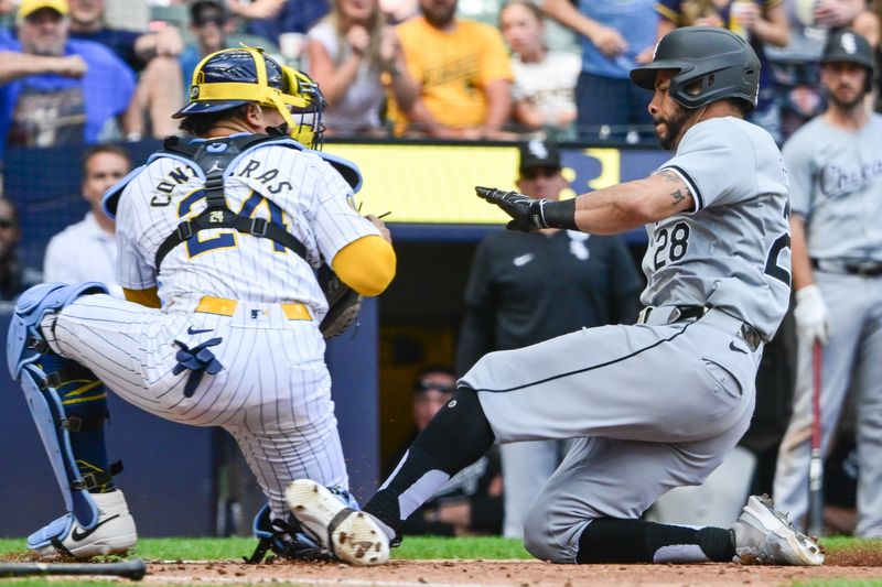 Jun 2, 2024; Milwaukee, Wisconsin, USA; Milwaukee Brewers catcher William Contreras (24) tags out Chicago White Sox left fielder Tommy Pham (28) trying to score in the eighth inning at American Family Field. Mandatory Credit: Benny Sieu-USA TODAY Sports