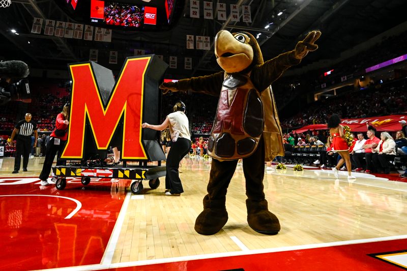 Dec 28, 2025; College Park, Maryland, USA;  Maryland Terrapins mascot on the court before the game against the Old Dominion Monarchs at Xfinity Center. Mandatory Credit: Tommy Gilligan-Imagn Images