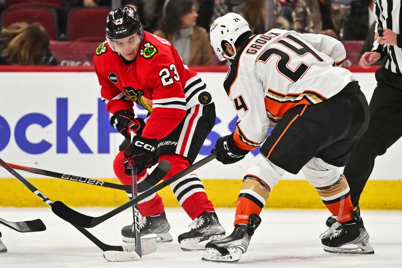 Dec 7, 2023; Chicago, Illinois, USA; Chicago Blackhawks forward Philipp Kurashev (23) and Anaheim Ducks forward Bo Groulx (24) battle for control of the puck off a face off in the first period at United Center. Mandatory Credit: Jamie Sabau-USA TODAY Sports