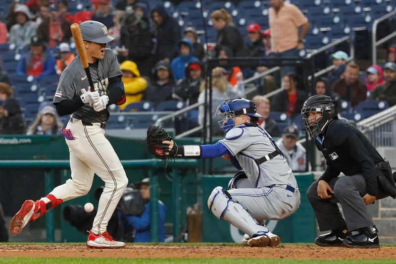 May 4, 2024; Washington, District of Columbia, USA; Washington Nationals outfielder Alex Call (17) is hit by a pitch against the Toronto Blue Jays during the seventh inning at Nationals Park. Mandatory Credit: Geoff Burke-USA TODAY Sports