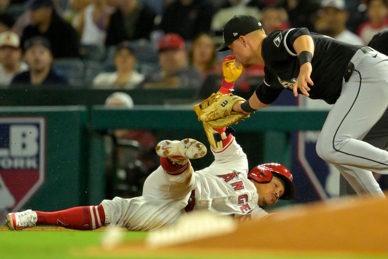 Sep 17, 2024; Anaheim, California, USA;  Los Angeles Angels right fielder Gustavo Campero (51) is tagged out by Chicago White Sox right fielder Gavin Sheets (32) as he dives back to the base in the third inning at Angel Stadium. Mandatory Credit: Jayne Kamin-Oncea-Imagn Images