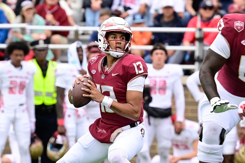 Sep 16, 2023; Chestnut Hill, Massachusetts, USA; Florida State Seminoles quarterback Jordan Travis (13) throws a pass during the first half against the Boston College Eagles at Alumni Stadium. Mandatory Credit: Eric Canha-USA TODAY Sports