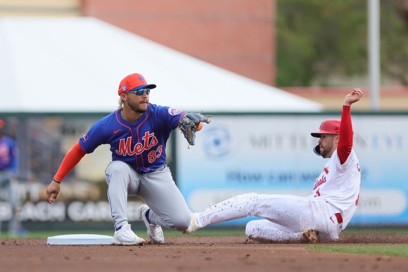 Mar 1, 2024; Jupiter, Florida, USA; St. Louis Cardinals center fielder Dylan Carlson (3) steals second base against New York Mets second baseman Yolmer Sanchez (83) during the first inning at Roger Dean Chevrolet Stadium. Mandatory Credit: Sam Navarro-USA TODAY Sports