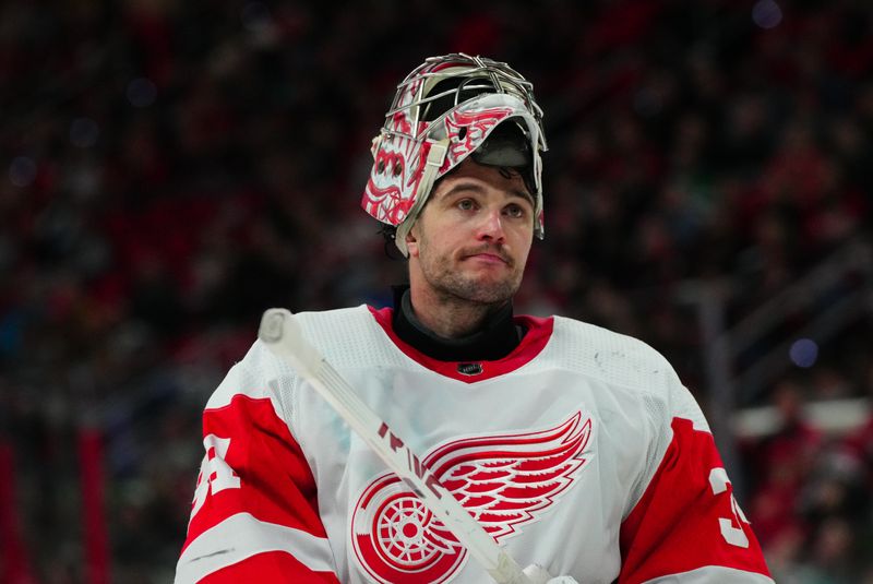 Jan 19, 2024; Raleigh, North Carolina, USA; Detroit Red Wings goaltender Alex Lyon (34) looks on against the Carolina Hurricanes during the third period at PNC Arena. Mandatory Credit: James Guillory-USA TODAY Sports