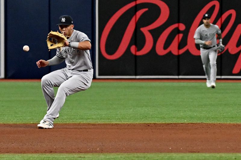 Aug 26, 2023; St. Petersburg, Florida, USA; New York Yankees shortstop Oswaldo Peraza (91) fields a ground ball against the Tampa Bay Rays in the fifth inning at Tropicana Field. Mandatory Credit: Jonathan Dyer-USA TODAY Sports