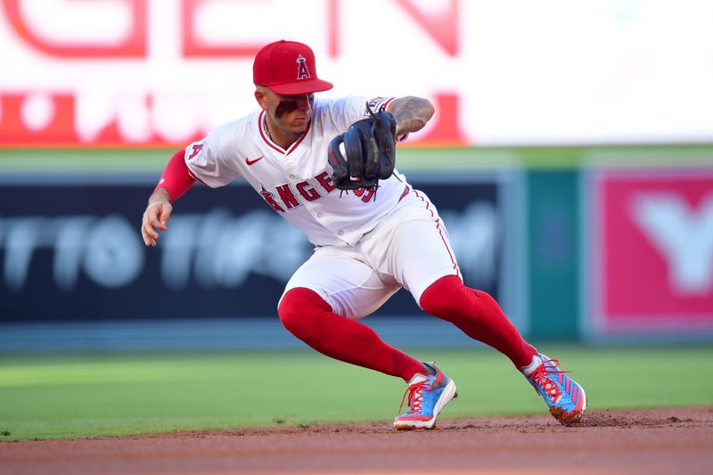 Aug 13, 2024; Anaheim, California, USA; Los Angeles Angels shortstop Zach Neto (9) fields the ground ball of Toronto Blue Jays center fielder Daulton Varsho (25) during the first inning at Angel Stadium. Mandatory Credit: Gary A. Vasquez-USA TODAY Sports