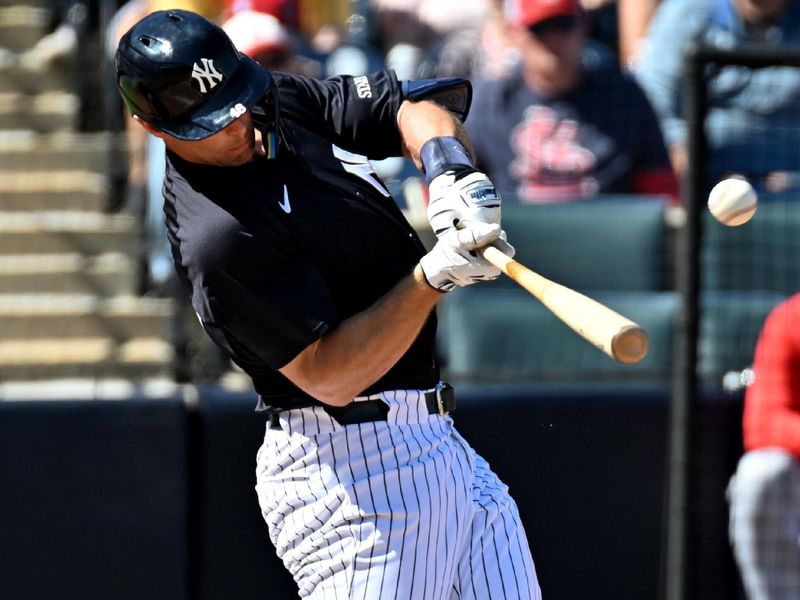 Feb 26, 2025; Tampa, Florida, USA;  New York Yankees first baseman Paul Goldschmidt (48) hits a RBI single in the third inning against the St. Louis Cardinals  during spring training  at George M. Steinbrenner Field. Mandatory Credit: Jonathan Dyer-Imagn Images