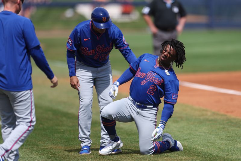 Mar 1, 2025; Port Charlotte, Florida, USA; New York Mets shortstop Luisangel Acuna (2)reacts after getting hit by a pitch against the Tampa Bay Rays in the second inning during spring training at Charlotte Sports Park. Mandatory Credit: Nathan Ray Seebeck-Imagn Images