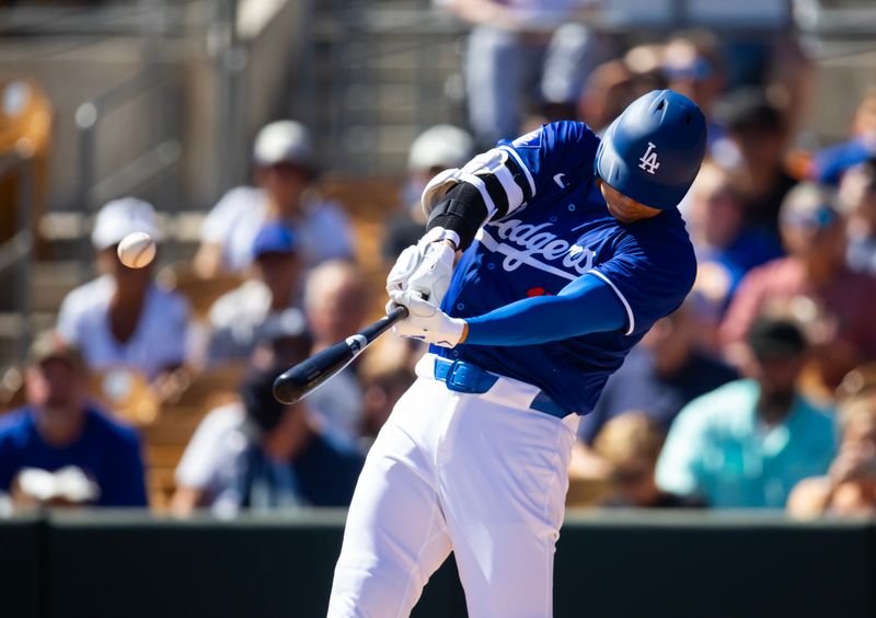 Mar 13, 2024; Phoenix, Arizona, USA; Los Angeles Dodgers designated hitter Shohei Ohtani against the Seattle Mariners during a spring training game at Camelback Ranch-Glendale. Mandatory Credit: Mark J. Rebilas-USA TODAY Sports