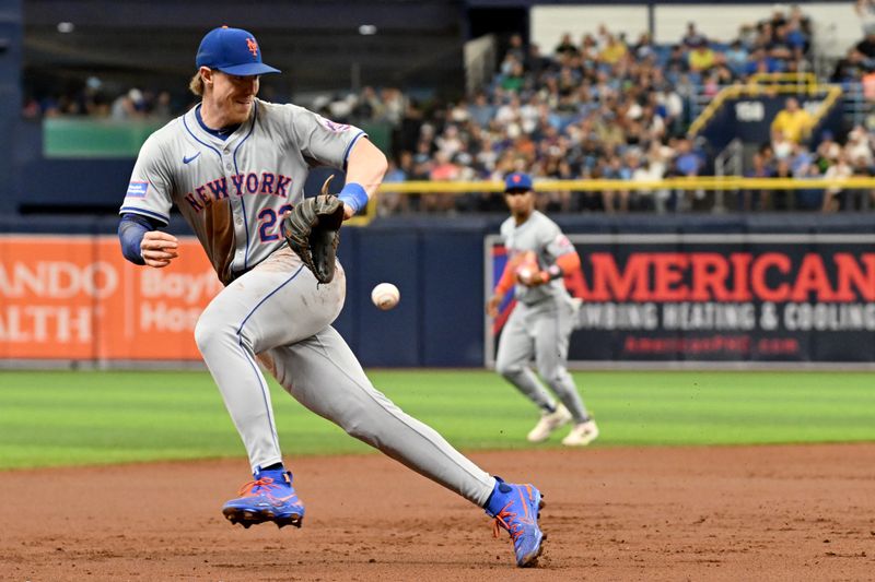 Mets Rally Falls Short in Extra Innings, Rays Clinch Victory at Tropicana Field