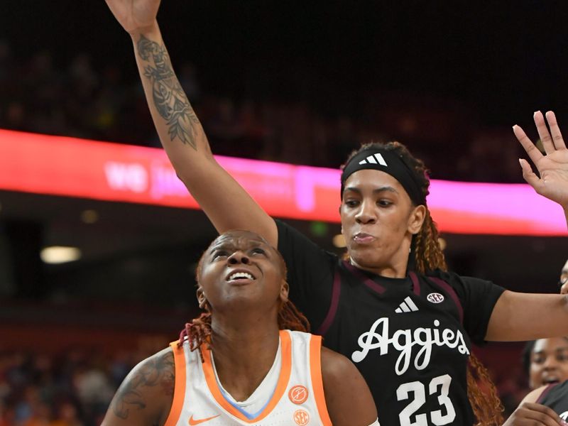 Mar 5, 2025; Greenville, South Carolina, USA; Tennessee forward Jillian Hollingshead (53) takes a shot near Texas A&M forward Amirah Abdur-Rahim (23) during the first quarter of the Southeastern Conference Women's Basketball Tournament at Bon Secours Wellness Arena.  Mandatory Credit: Ken Ruinard/USA TODAY NETWORK via Imagn Images