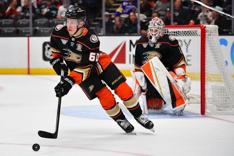 Apr 7, 2024; Anaheim, California, USA; Anaheim Ducks defenseman Jackson LaCombe (60) controls the puck against the St. Louis Blues during the third period at Honda Center. Mandatory Credit: Gary A. Vasquez-USA TODAY Sports