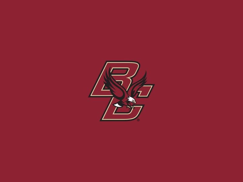 Stonehill Skyhawks VS Boston College Eagles
