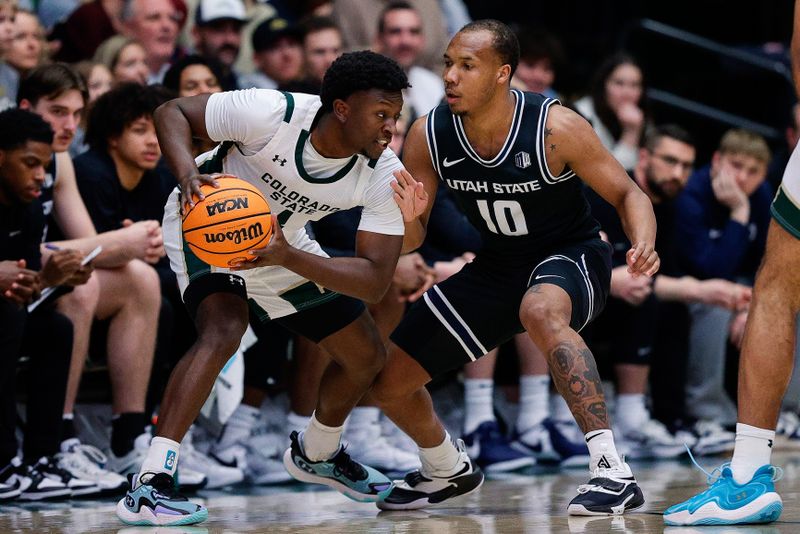 Feb 17, 2024; Fort Collins, Colorado, USA; Colorado State Rams guard Isaiah Stevens (4) controls the ball as Utah State Aggies guard Darius Brown II (10) guards in the first half at Moby Arena. Mandatory Credit: Isaiah J. Downing-USA TODAY Sports