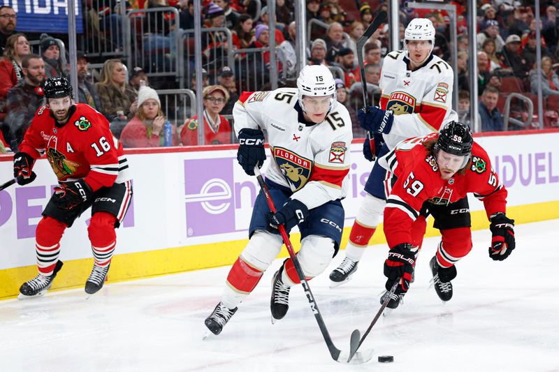 Jan 25, 2026; Chicago, Illinois, USA; Florida Panthers center Anton Lundell (15) battles for the puck with Chicago Blackhawks left wing Tyler Bertuzzi (59) during the first period at United Center. Mandatory Credit: Kamil Krzaczynski-Imagn Images