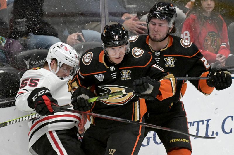 Mar 21, 2024; Anaheim, California, USA;  Chicago Blackhawks defenseman Kevin Korchinski (55), Anaheim Ducks center Ryan Strome (16) and center Mason McTavish (23) battle along the boards in the second period at Honda Center. Mandatory Credit: Jayne Kamin-Oncea-USA TODAY Sports