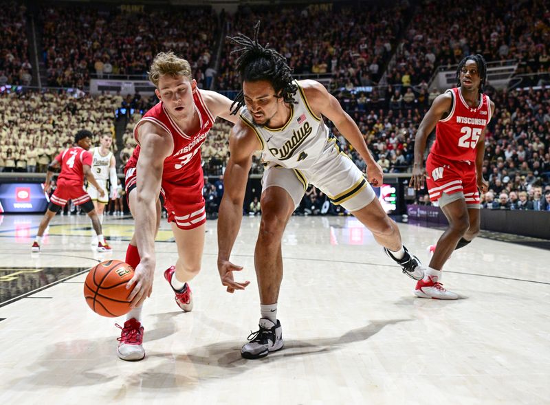 Mar 10, 2024; West Lafayette, Indiana, USA; Purdue Boilermakers forward Trey Kaufman-Renn (4) and Wisconsin Badgers forward Markus Ilver (35) reach for a loose ball during the second half at Mackey Arena. Mandatory Credit: Marc Lebryk-USA TODAY Sports