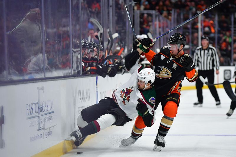 Nov 1, 2023; Anaheim, California, USA; Anaheim Ducks left wing Ross Johnston (44) plays for the puck against Arizona Coyotes center Jack McBain (22) during the third period at Honda Center. Mandatory Credit: Gary A. Vasquez-USA TODAY Sports