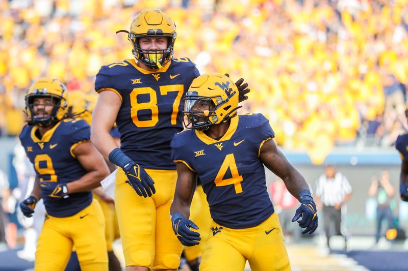 Oct 2, 2021; Morgantown, West Virginia, USA; West Virginia Mountaineers running back Leddie Brown (4) celebrates after running for a touchdown during the third quarter against the Texas Tech Red Raiders at Mountaineer Field at Milan Puskar Stadium. Mandatory Credit: Ben Queen-USA TODAY Sports