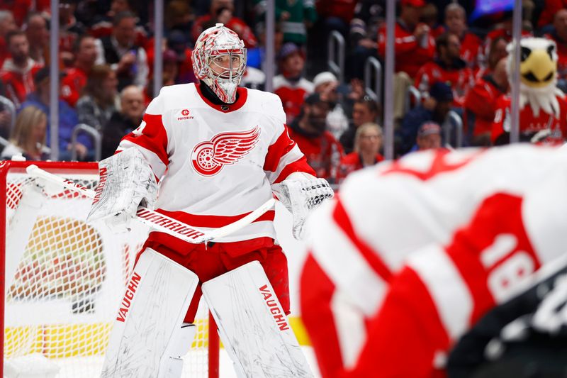 Mar 26, 2024; Washington, District of Columbia, USA; Detroit Red Wings goaltender Alex Lyon (34) looks on during a face off against the Washington Capitals in the first period at Capital One Arena. Mandatory Credit: Amber Searls-USA TODAY Sports