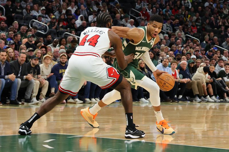 MILWAUKEE, WISCONSIN - DECEMBER 11: Giannis Antetokounmpo #34 of the Milwaukee Bucks drives to the basket against Patrick Williams #44 of the Chicago Bulls during a game at Fiserv Forum on December 11, 2023 in Milwaukee, Wisconsin. NOTE TO USER: User expressly acknowledges and agrees that, by downloading and or using this photograph, User is consenting to the terms and conditions of the Getty Images License Agreement. (Photo by Stacy Revere/Getty Images)