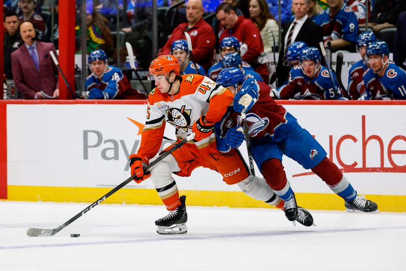 Jan 21, 2026; Denver, Colorado, USA; Anaheim Ducks right wing Beckett Sennecke (45) controls the puck under pressure from Colorado Avalanche defenseman Sam Malinski (70) in the first period at Ball Arena. Mandatory Credit: Isaiah J. Downing-Imagn Images