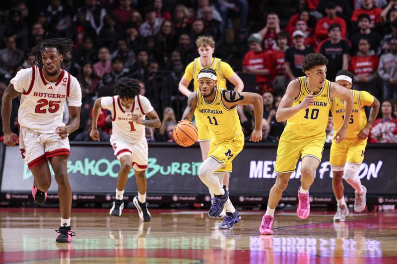 Feb 1, 2025; Piscataway, New Jersey, USA; Michigan Wolverines guard Roddy Gayle Jr. (11) dribbles up court during the first half against the Rutgers Scarlet Knights at Jersey Mike's Arena. Mandatory Credit: Vincent Carchietta-Imagn Images