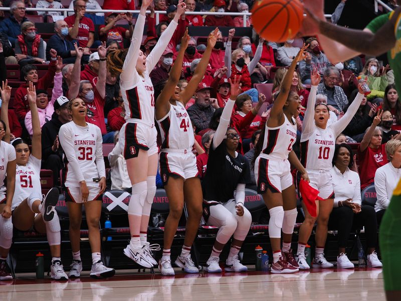 Jan 29, 2023; Stanford, California, USA; Stanford Cardinal bench celebrate after a three point basket against the Oregon Ducks during the third quarter at Maples Pavilion. Mandatory Credit: Kelley L Cox-USA TODAY Sports