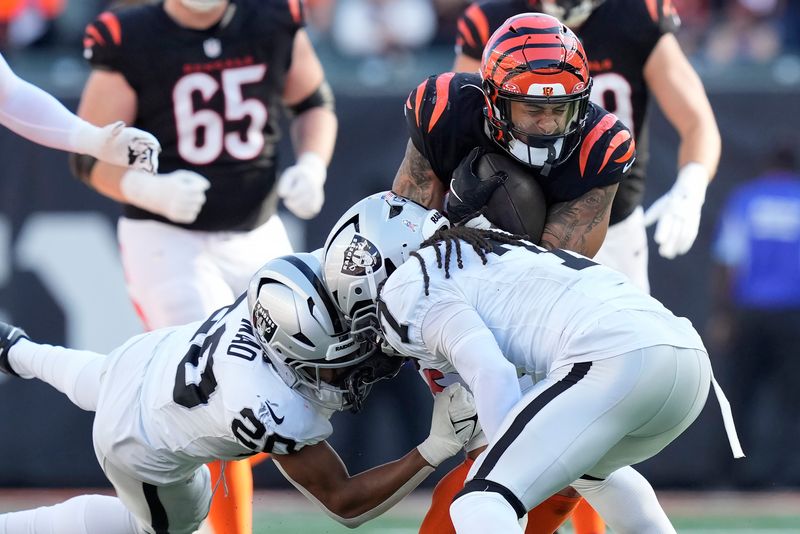 Cincinnati Bengals running back Chase Brown, top right, runs against Las Vegas Raiders safety Isaiah Pola-Mao, bottom left, and safety Tre'von Moehrig during the second half of an NFL football game in Cincinnati, Sunday, Nov. 3, 2024. (AP Photo/Carolyn Kaster)