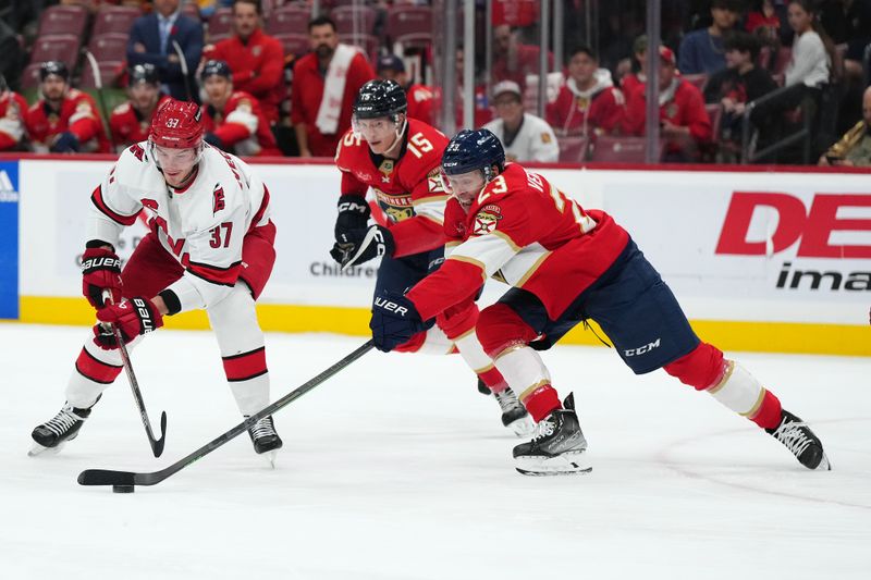 Nov 10, 2023; Sunrise, Florida, USA; Florida Panthers center Carter Verhaeghe (23) knocks the puck away from Carolina Hurricanes right wing Andrei Svechnikov (37) during the first period at Amerant Bank Arena. Mandatory Credit: Jasen Vinlove-USA TODAY Sports