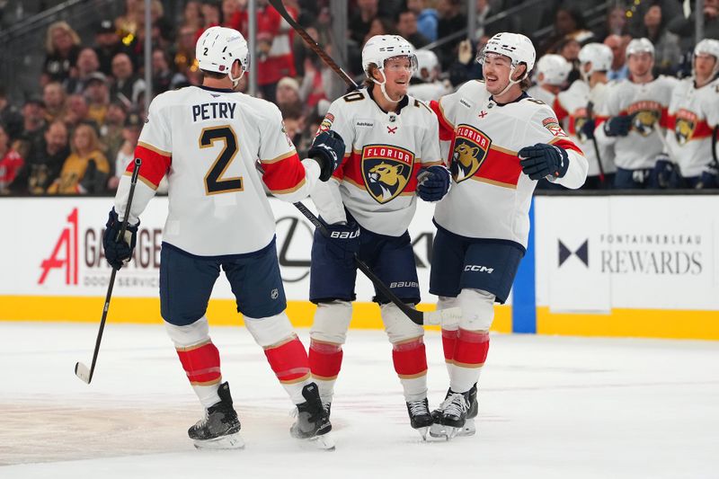 Nov 10, 2025; Las Vegas, Nevada, USA; Florida Panthers center Jesper Boqvist (70) celebrates with defenseman Jeff Petry (2) and defenseman Donovan Sebrango (6) after scoring a goal against the Vegas Golden Knights during the first period at T-Mobile Arena. Mandatory Credit: Stephen R. Sylvanie-Imagn Images